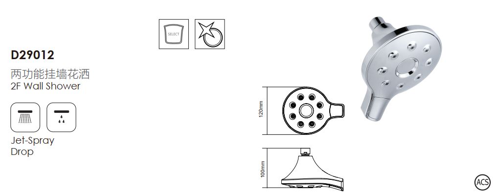 D29012-Showerhead