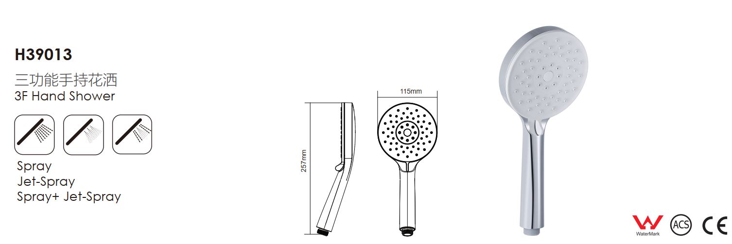 H39013-Showerhead