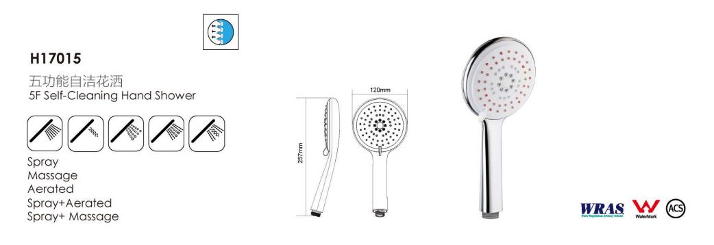 H17015-Showerhead H17015-Showerhead