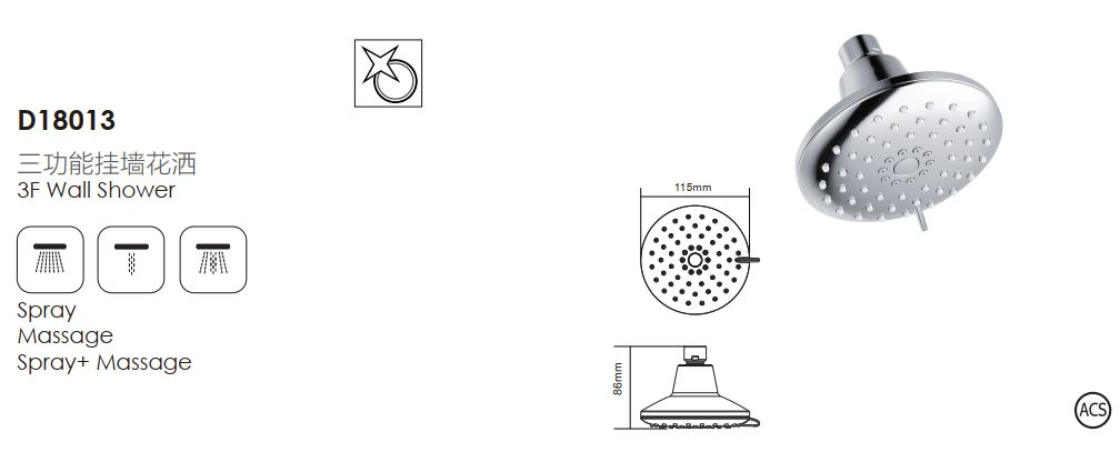 D18013-wall shower
