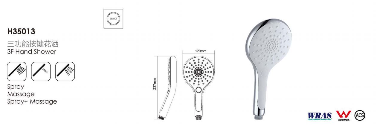 H35013-Showerhead
