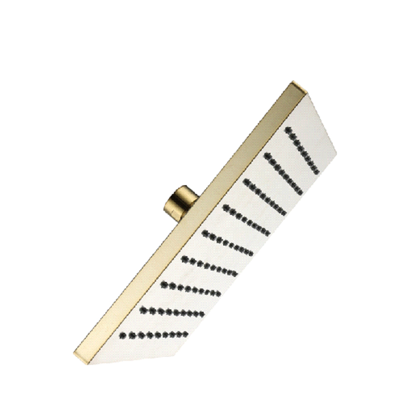 D61A Rain Shower