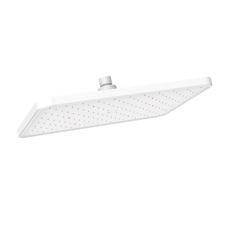 D43021 Rain Shower