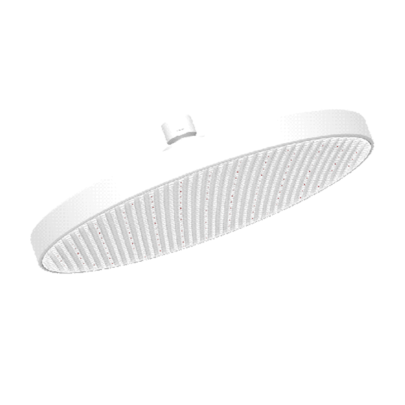 D48011 Rain Shower