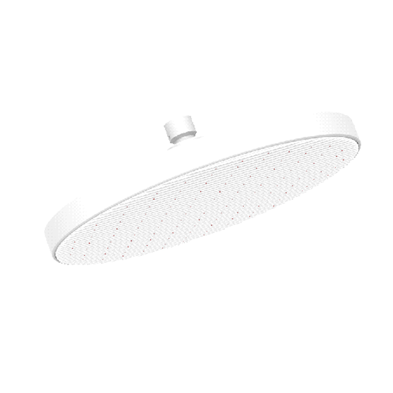 D48021 Rain Shower