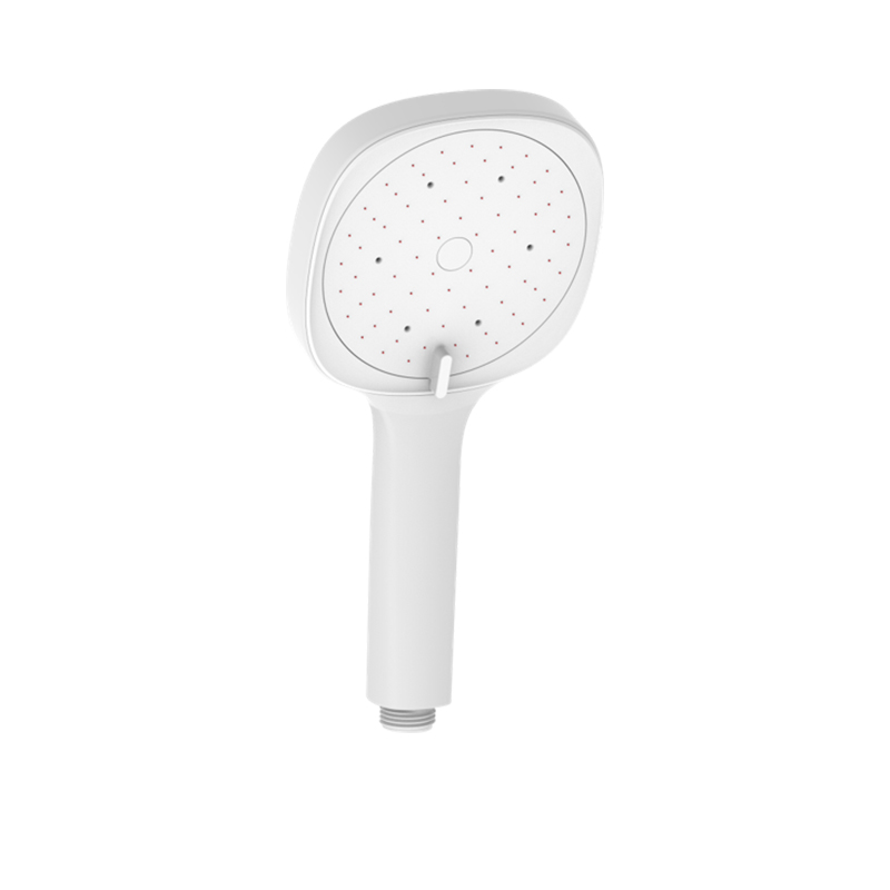 H49013 Hand Shower