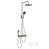 L5702D2 Shower Column