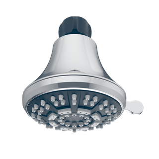 D20561 Wall Shower
