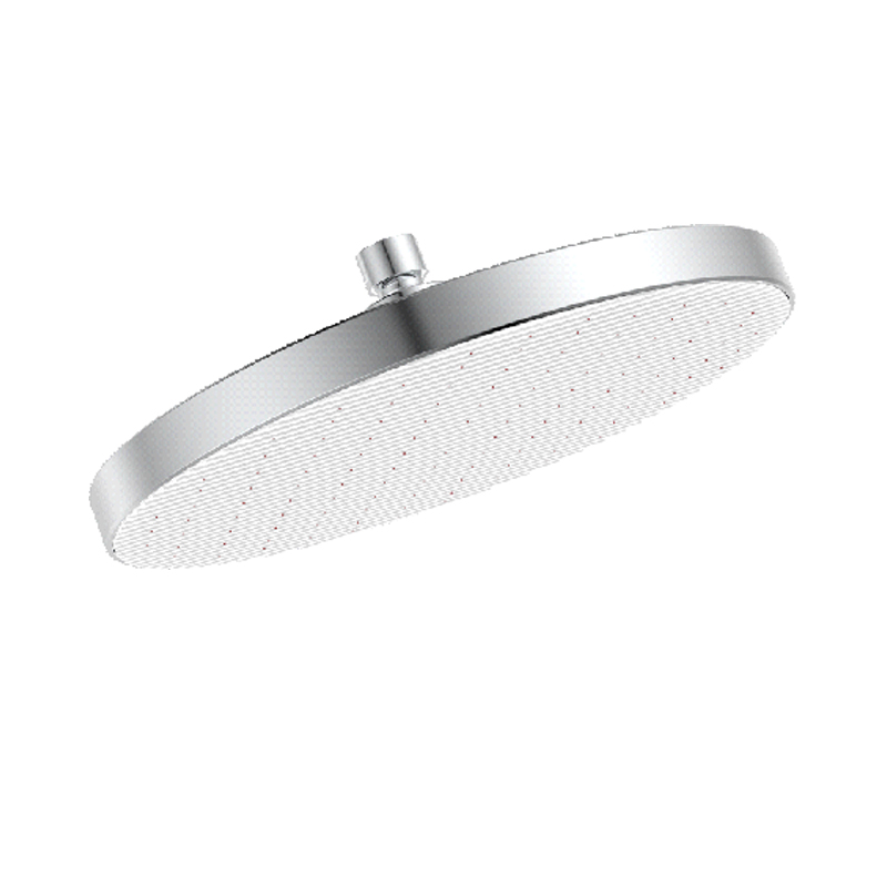D48021 Rain Shower