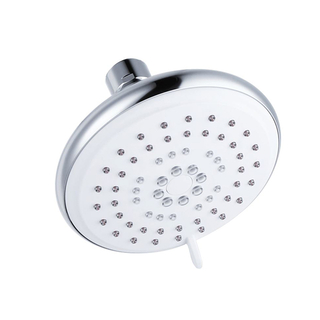D09015 Fixed Shower