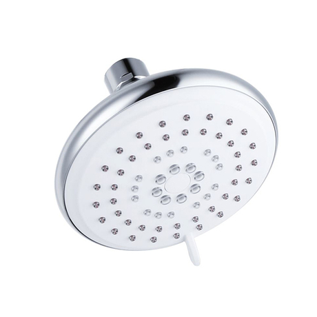 H09015 Fixed Shower
