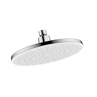 D21011 Rain Shower