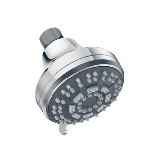 D20161 Wall Shower
