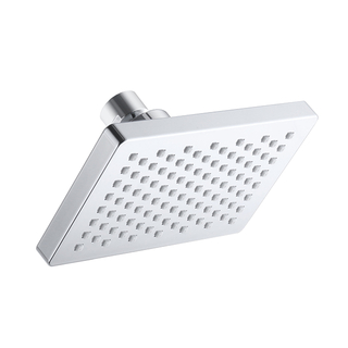 D10011 Fixed Shower