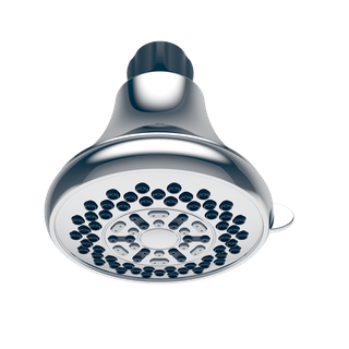 D20564 Wall Shower