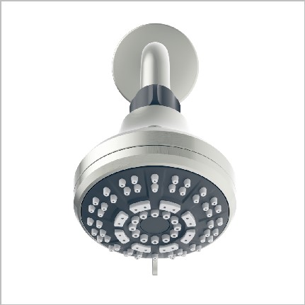 D20161 Wall Shower