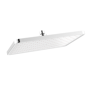 D43021 Rain Shower