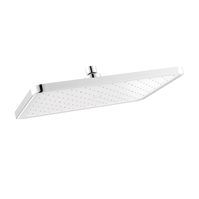 D43021 Rain Shower