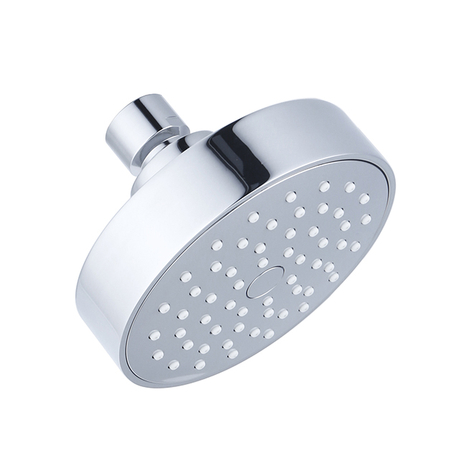 D24011 Fixed Shower