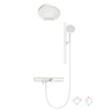 L2031C2 Shower Column