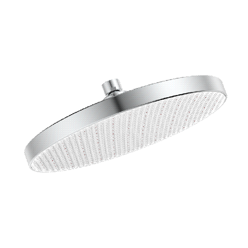 D48011 Rain Shower